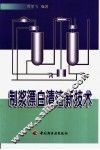 制浆漂白清洁新技术 封面