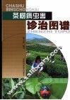 茶树病虫害诊治图谱 封面
