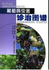 葡萄病虫害诊治图谱 封面