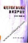 硫化锌精矿加压酸浸技术及产业化 封面