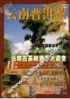 2006云南普洱茶  夏 封面