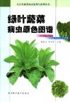 绿叶蔬菜病虫原色图谱 封面