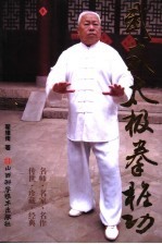 武式太极拳桩功 封面