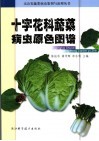 十字花科蔬菜病虫原色图谱 封面