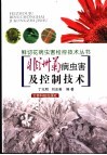 非洲菊病虫害及控制技术 封面