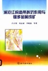 澜沧江构造演化与铜多金属成矿作用综合信息研究 封面