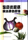 葱蒜类蔬菜病虫原色图谱 封面