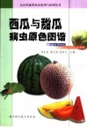 西瓜与甜瓜病虫原色图谱 封面