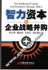 智力资本与企业战略并购 封面