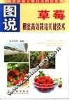 图说棚室草莓高效栽培关键技术 封面