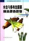 水生与多年生蔬菜病虫原色图谱 封面