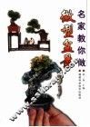 名家教你做微型盆景 封面