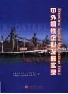 中外钢铁企业发展实录 封面