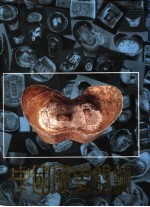 中国历史银锭  画册 封面