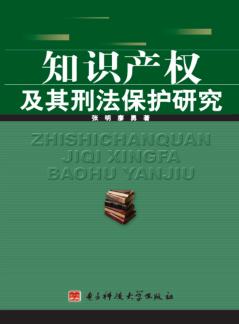 知识产权及其刑法保护研究 封面