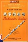 数学的机智 封面
