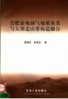 合肥盆地油气地质及其与大别造山带构造耦合 封面