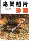 鸟类照片珍藏 封面