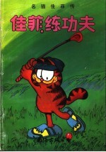 佳菲练功夫 封面