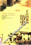 正在消逝的历史 封面