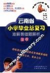 云南省小学毕业总复习难解易错题解析  数学 封面