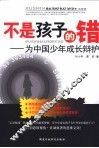 不是孩子的错  为中国少年成长辩护 封面