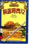 侠盗罗宾汉 封面