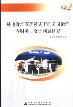 核电群堆管理模式下的公司治理与财务、会计问题研究 封面