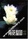 荷塘清风  荷花摄影精赏精解 封面