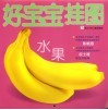 好宝宝挂图  水果 电子书封面