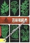 苔藓和蕨类 封面