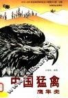 中国猛禽  鹰隼类 封面