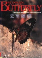 云南蝴蝶 封面