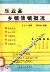 乐业县乡镇集镇概况 封面