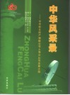 中华风采录  中华联合财产保险公司上海分公司发展之路 封面
