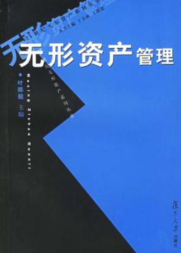 无形资产管理 封面