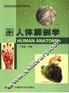 人体解剖学 封面
