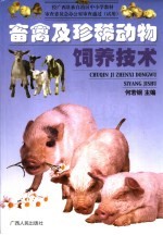 小女生的私密日记 封面