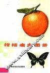 柑桔病虫图册 封面