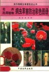 花卉  药用植物病虫草害防治彩色图册 封面