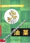油菜 封面