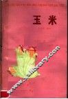 玉米 封面