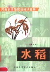 水稻 封面