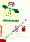 莲藕 封面