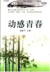 动感青春 封面