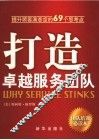 打造卓越服务团队  提升顾客满意度的69个思考点 封面