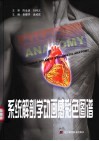 系统解剖学动画感彩色图谱 封面