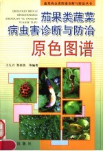 茄果类蔬菜病虫害诊断与防治原色图谱 封面