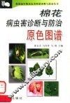 棉花病虫害诊断与防治原色图谱 封面