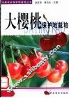 大樱桃保护地栽培 封面